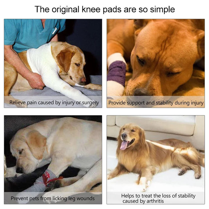 DukaPets - Dog Bandages
