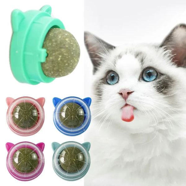 DukaPets - Teeth Cleaning Catnip Toy