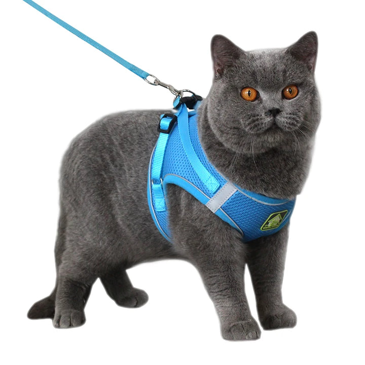Reflective Cat Harness Vest With Walking Lead Leash - NewDuka
