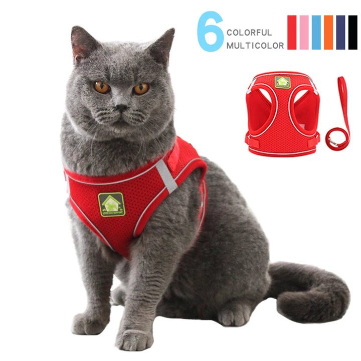Reflective Cat Harness Vest With Walking Lead Leash - NewDuka