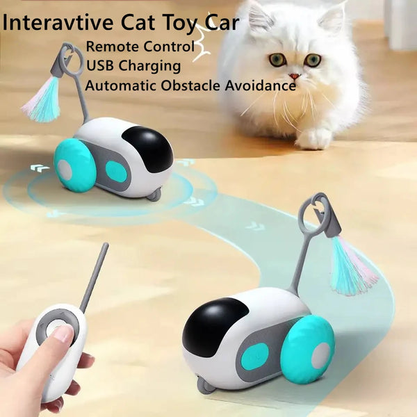 Interactive Intelligent car Toys